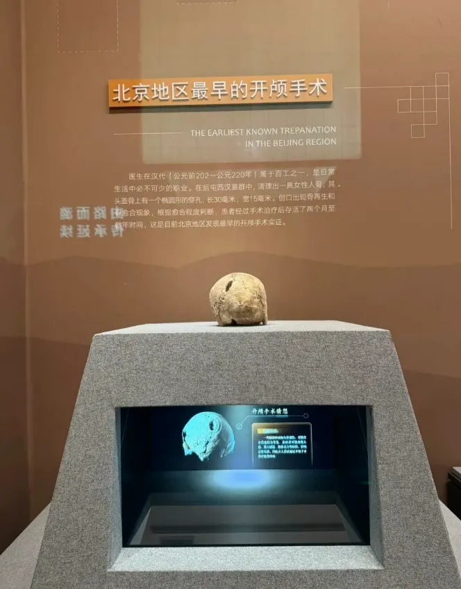 路县故城遗址博物馆
