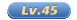 45级