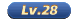 28级