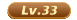 33级